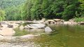 Loyalsock Senic2